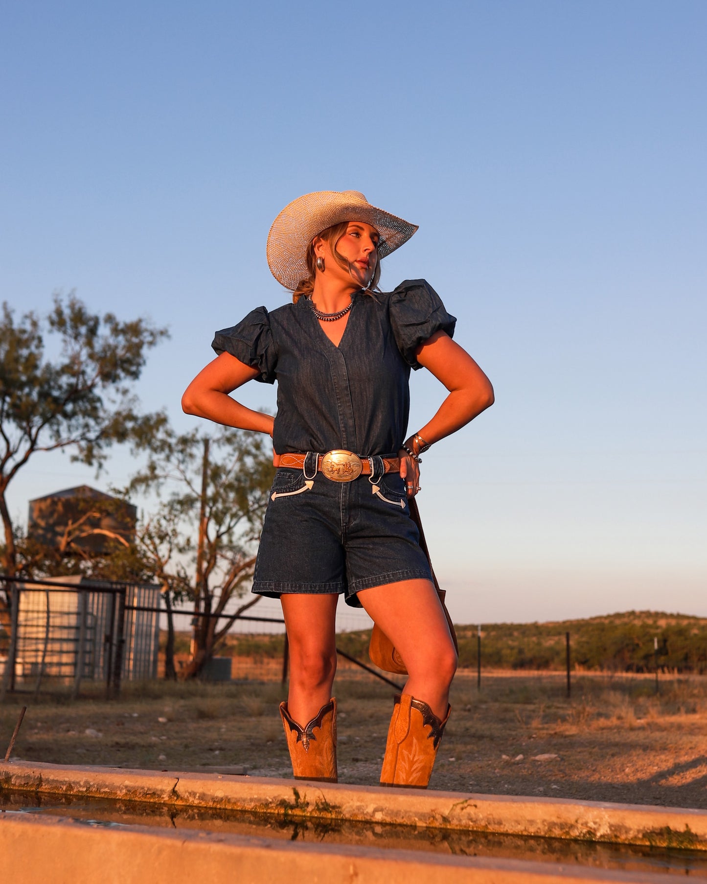 The Abilene Denim Shorts