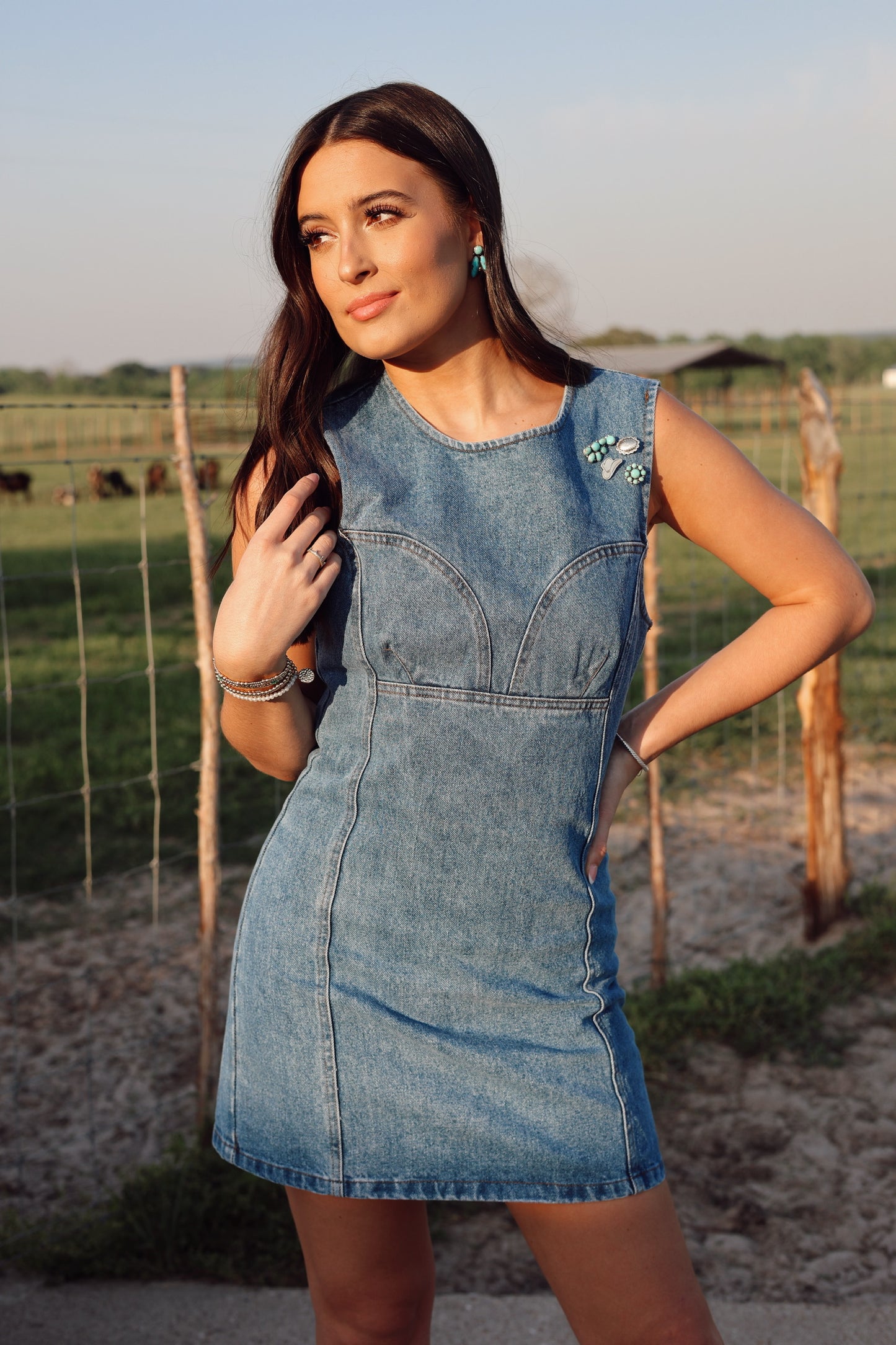 The Dallas Denim Dress