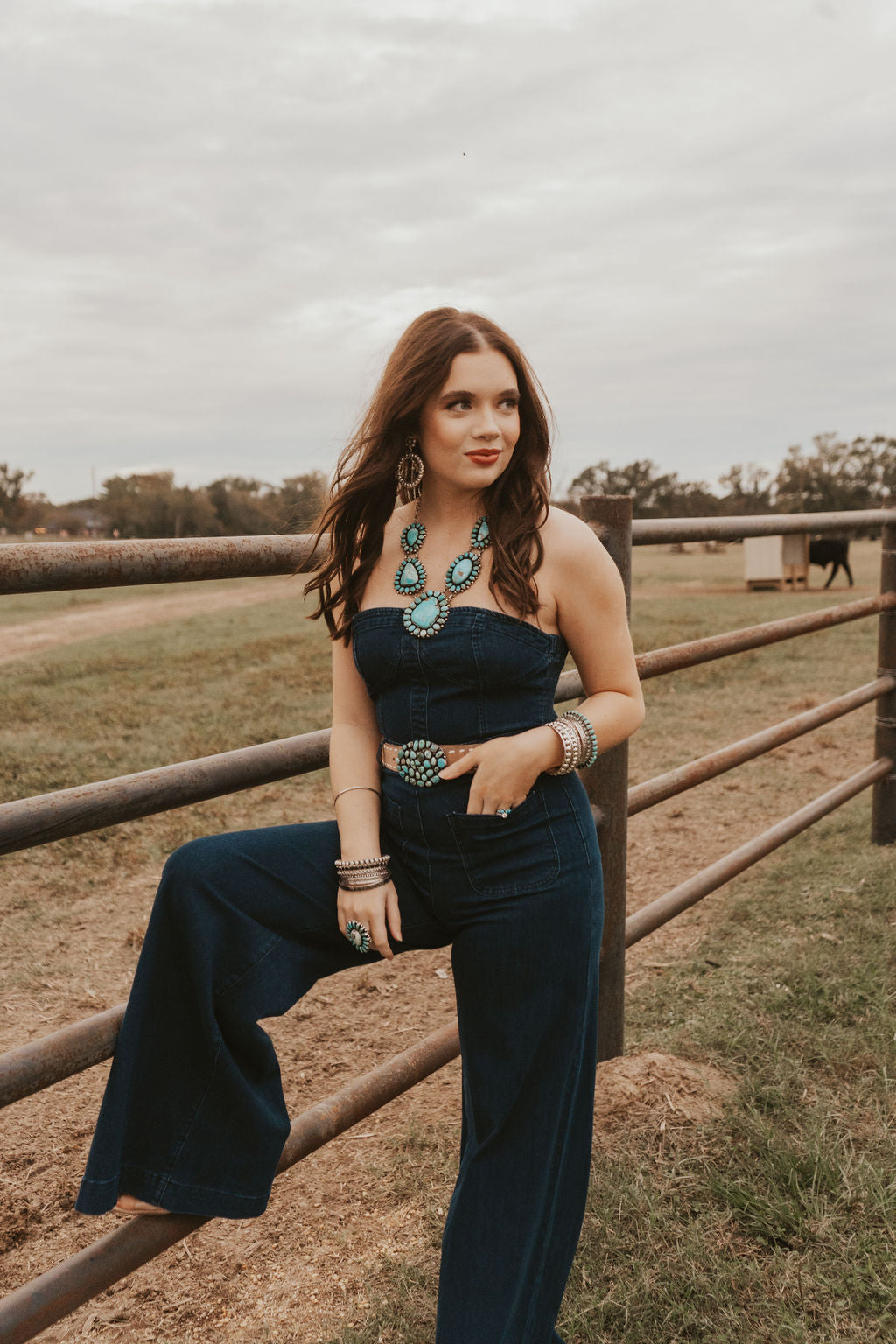 The Dylan Denim Jumpsuit