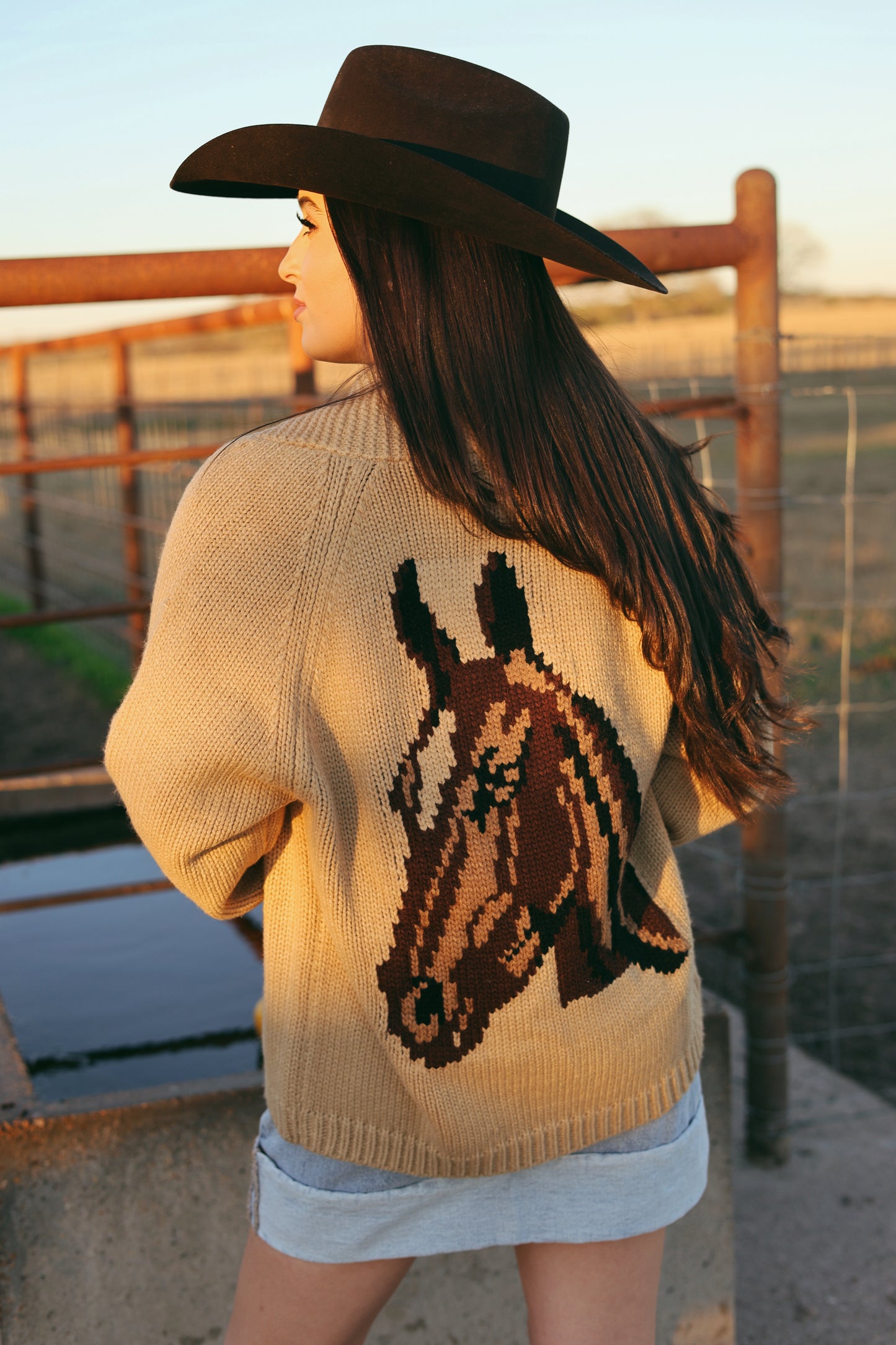 The Varsity Chunky Horse Cardigan