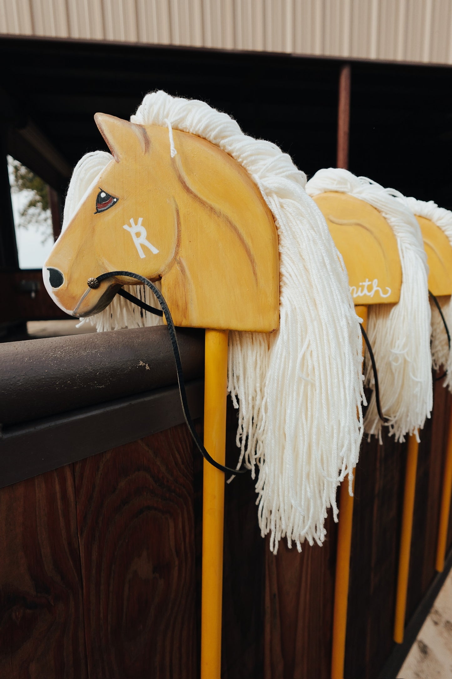 Palmer Ranch Ponies