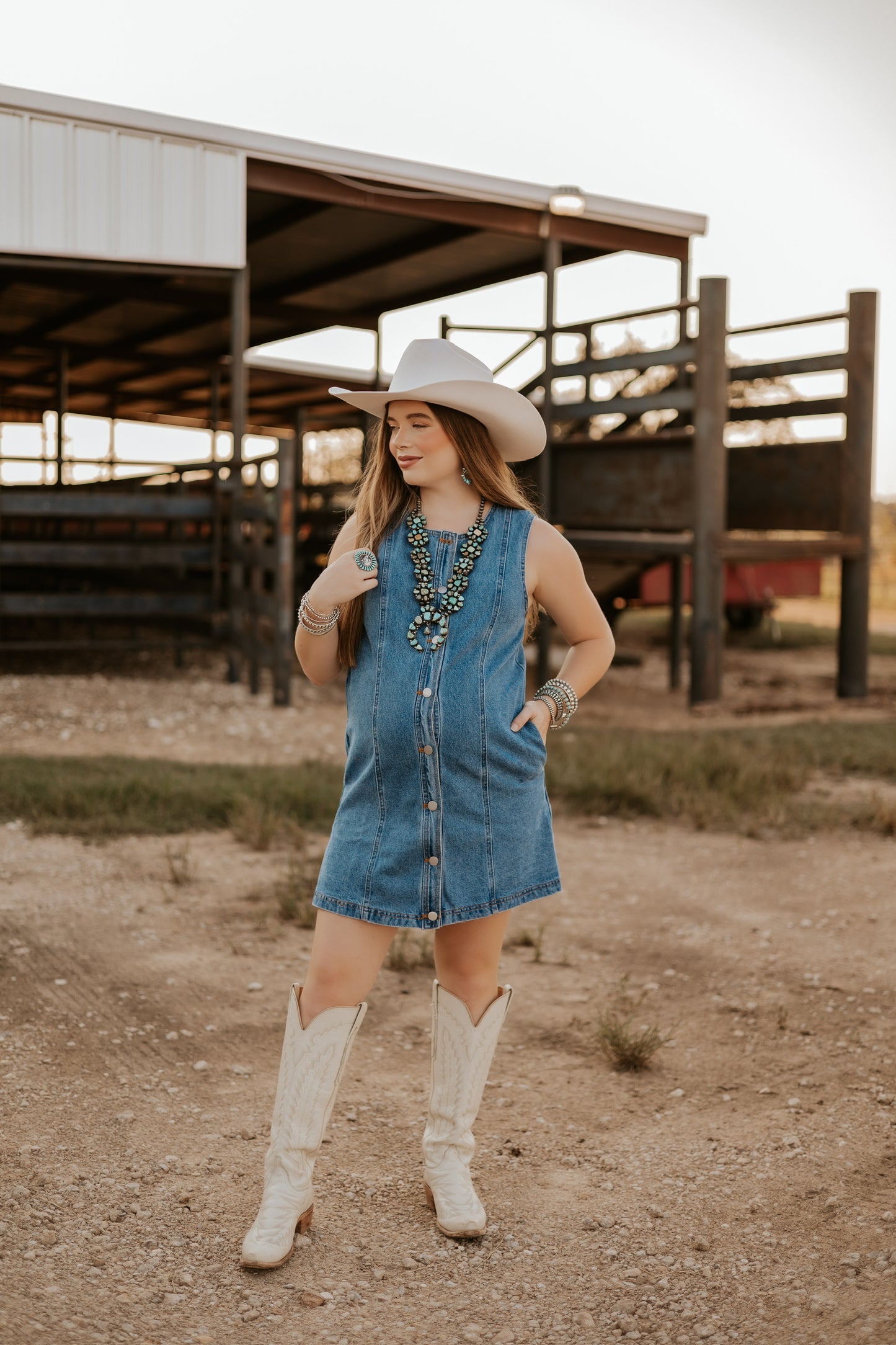 The Dobbs Denim Dress