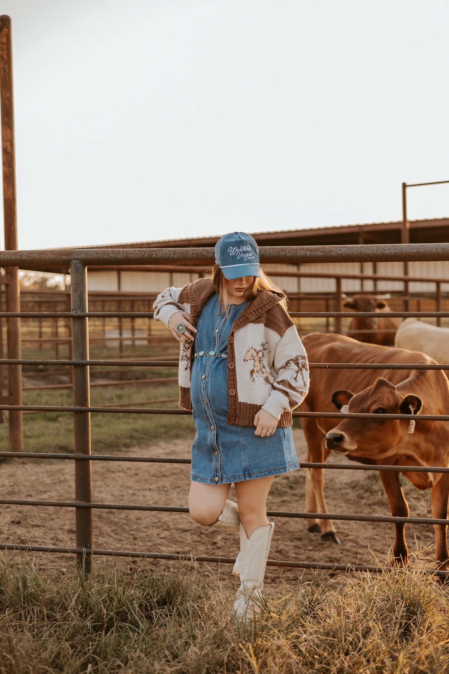 The Dobbs Denim Dress