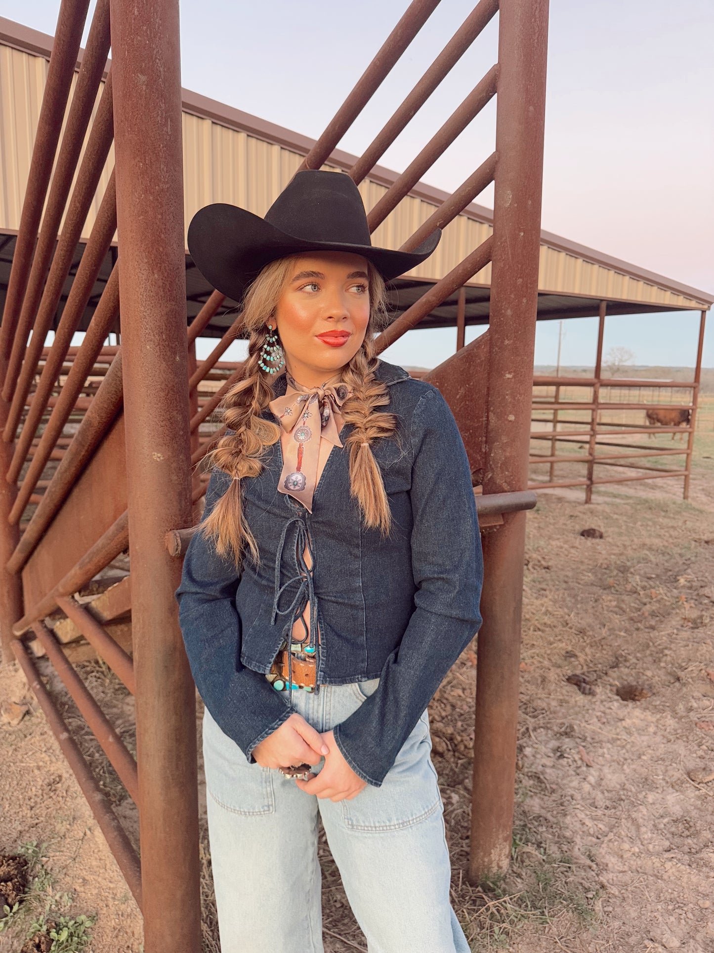 The Douglas Denim Top LARGE