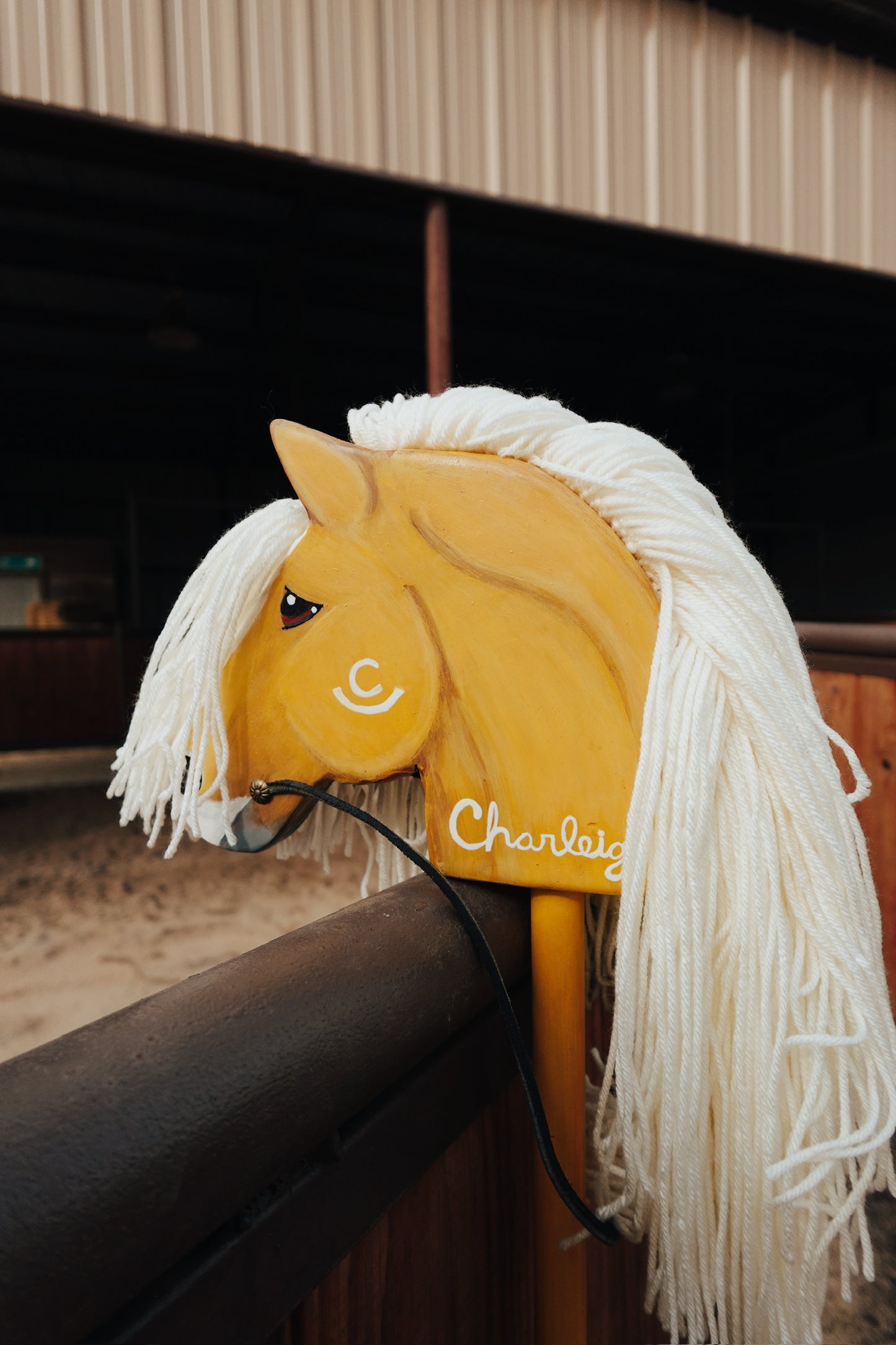 Palmer Ranch Ponies
