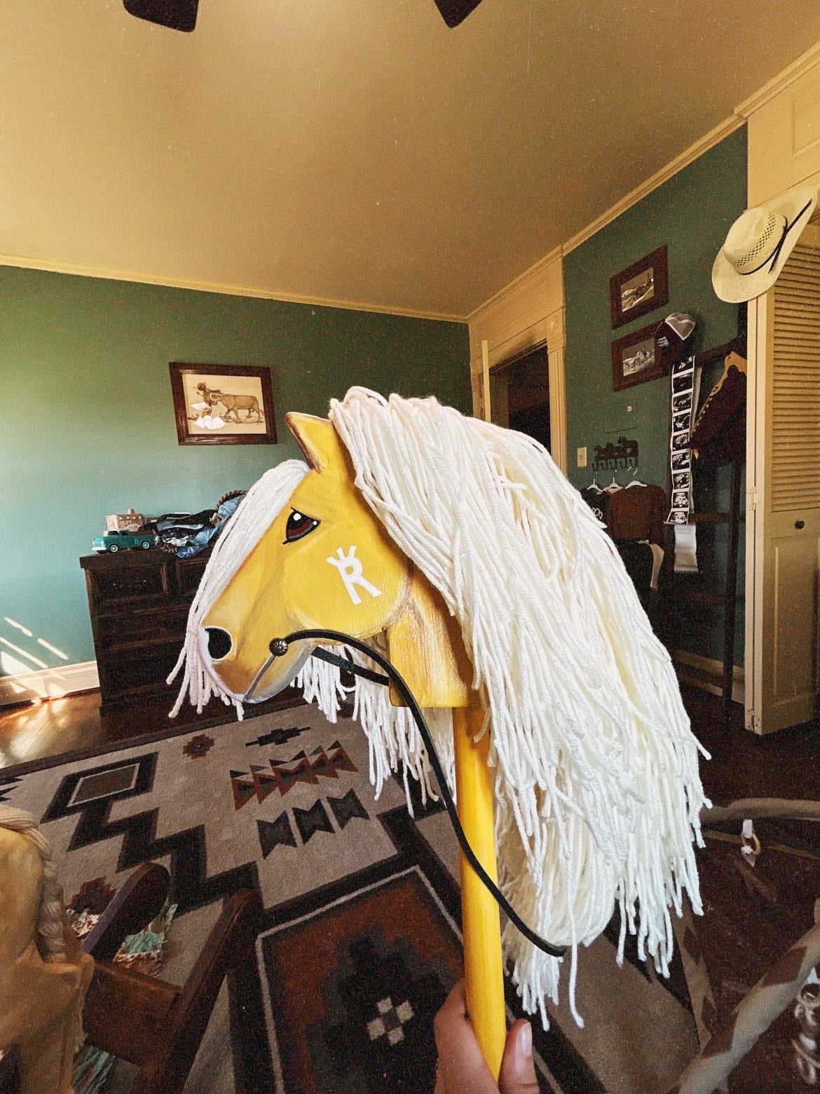 Palmer Ranch Ponies