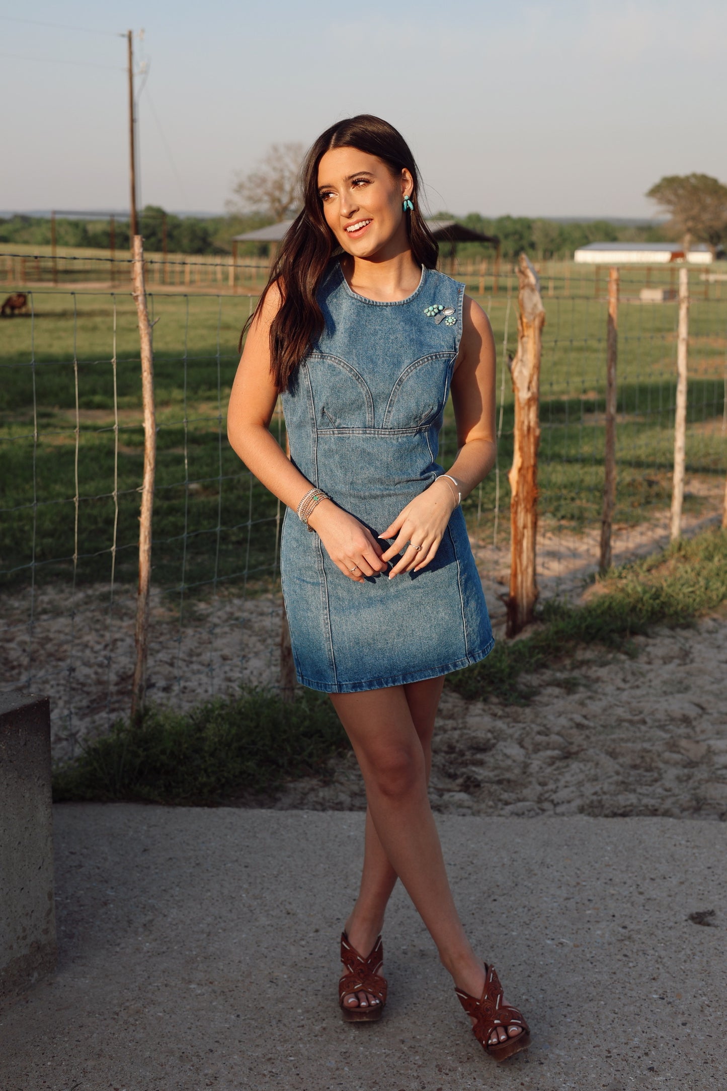 The Dallas Denim Dress
