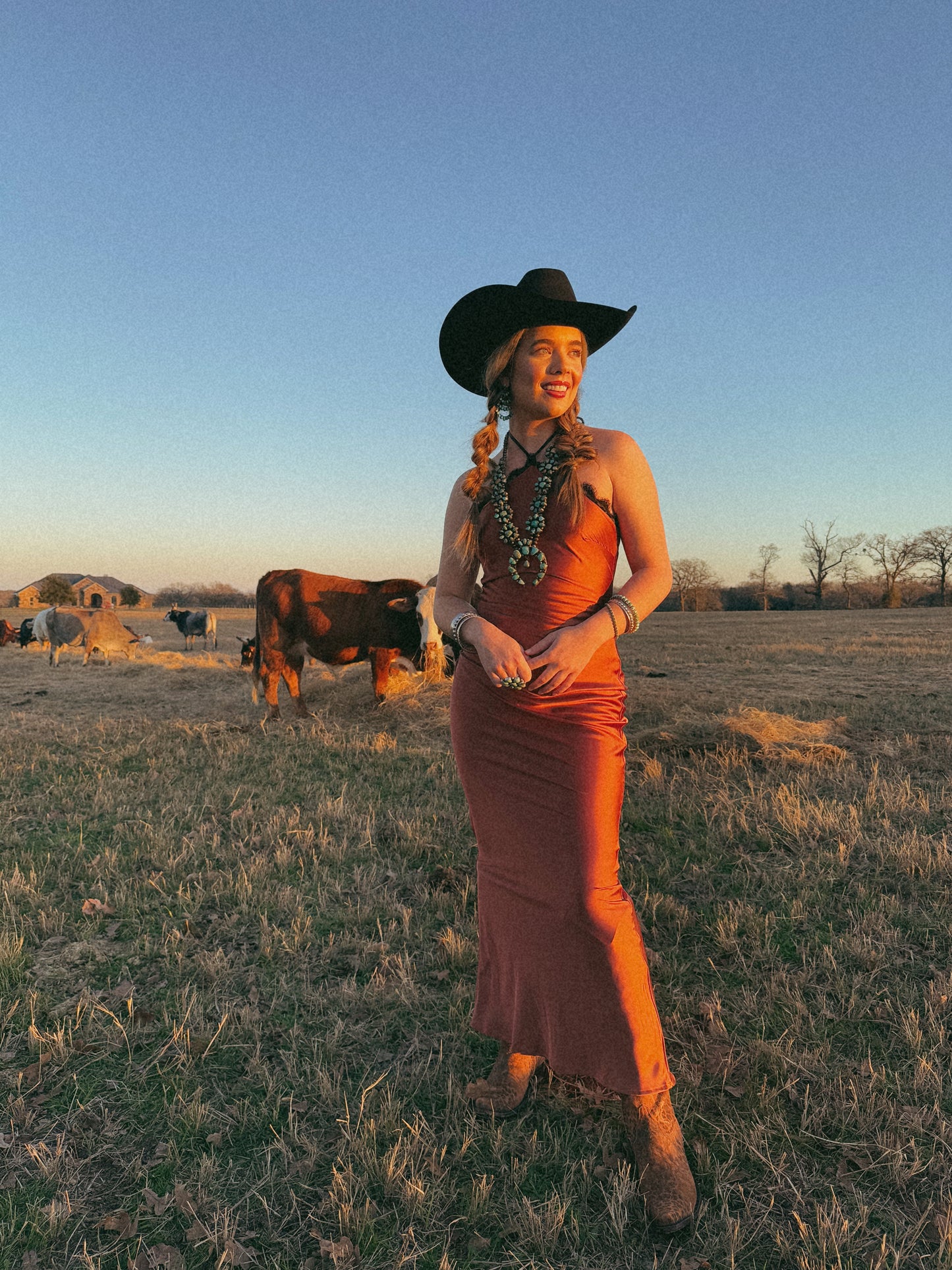The Celeste Dress-Small