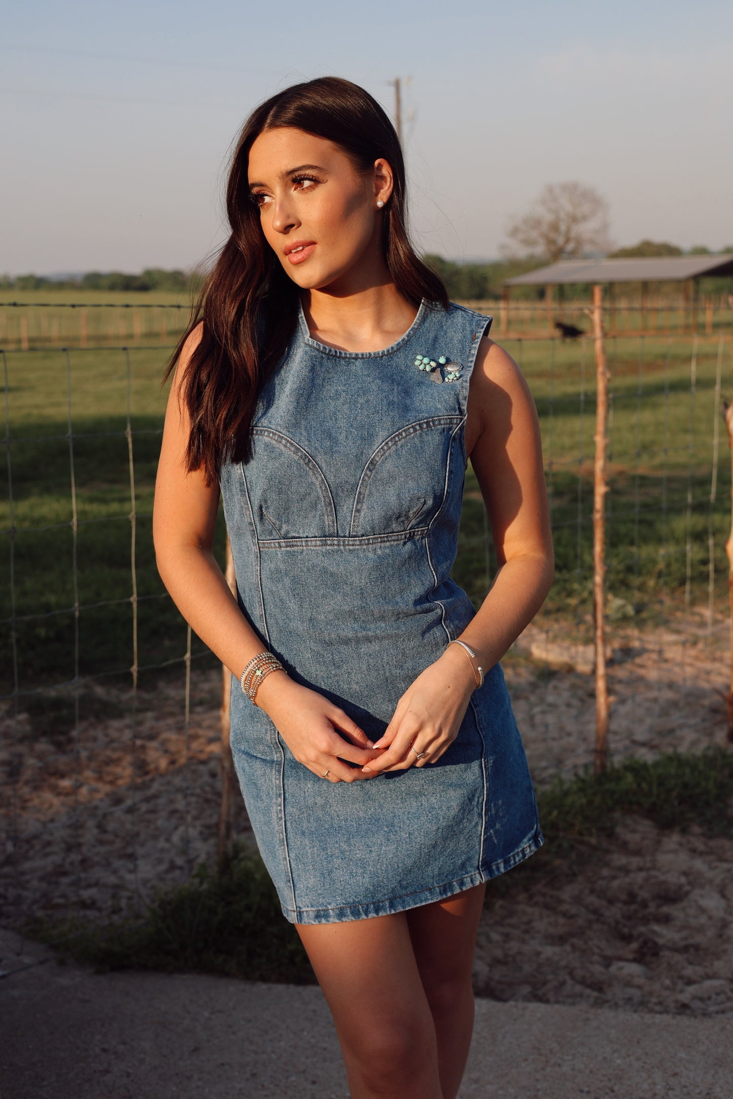 The Dallas Denim Dress
