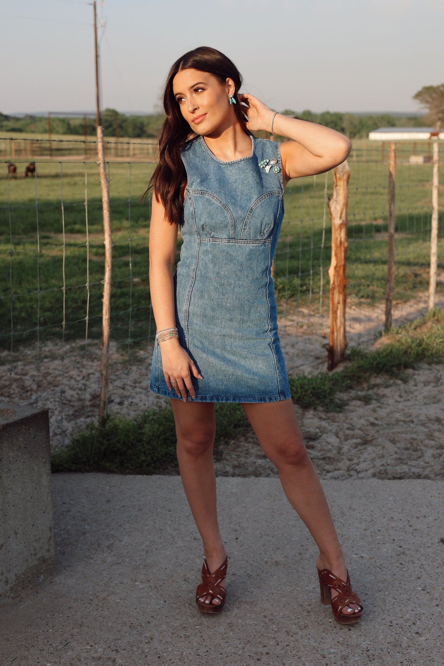 The Dallas Denim Dress