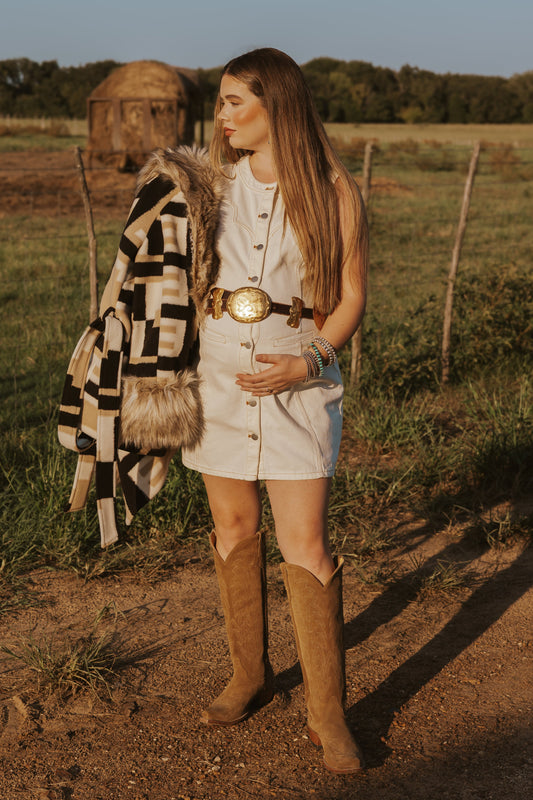 The Cordell Denim Dress