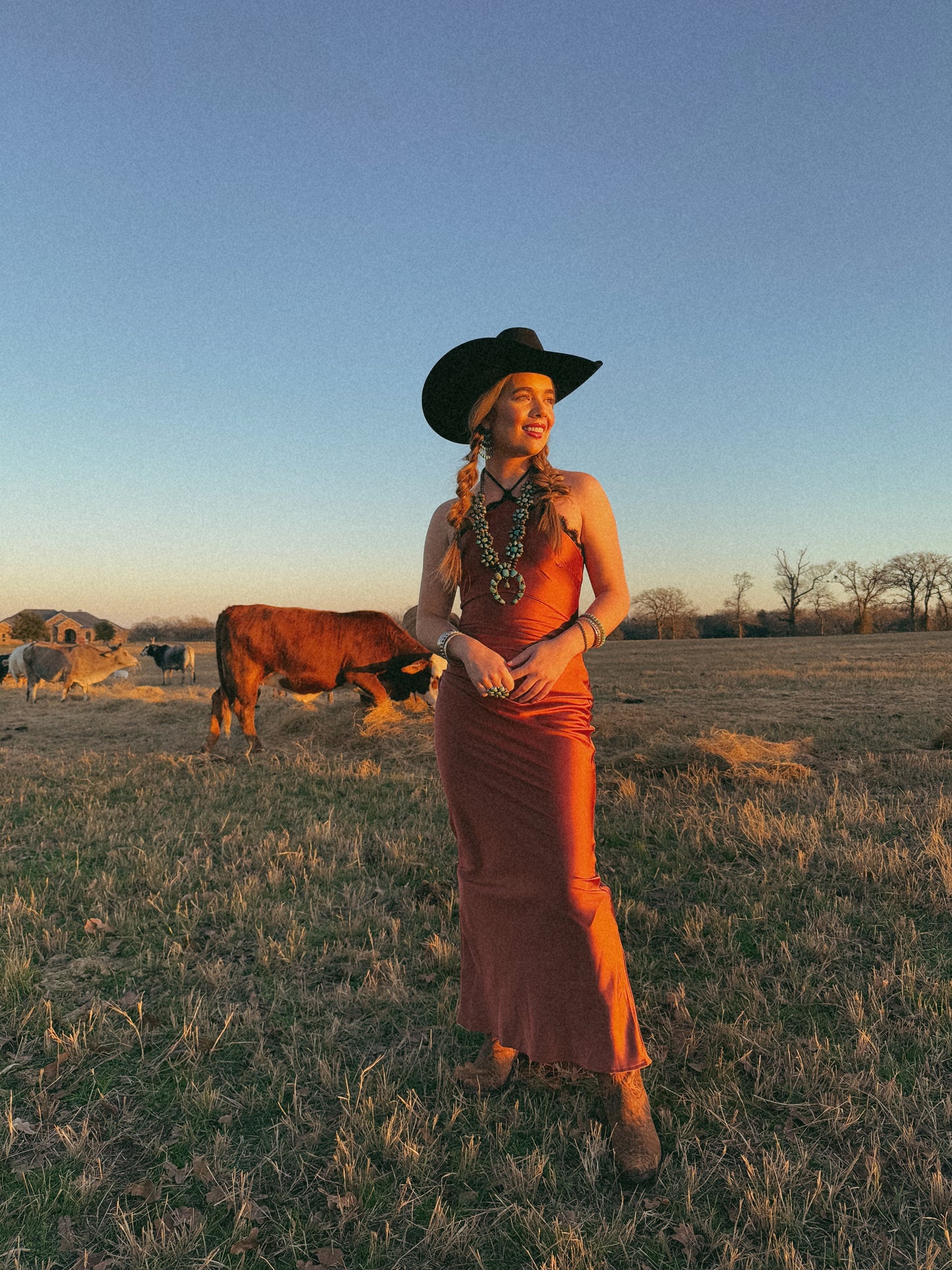 The Celeste Dress-Small