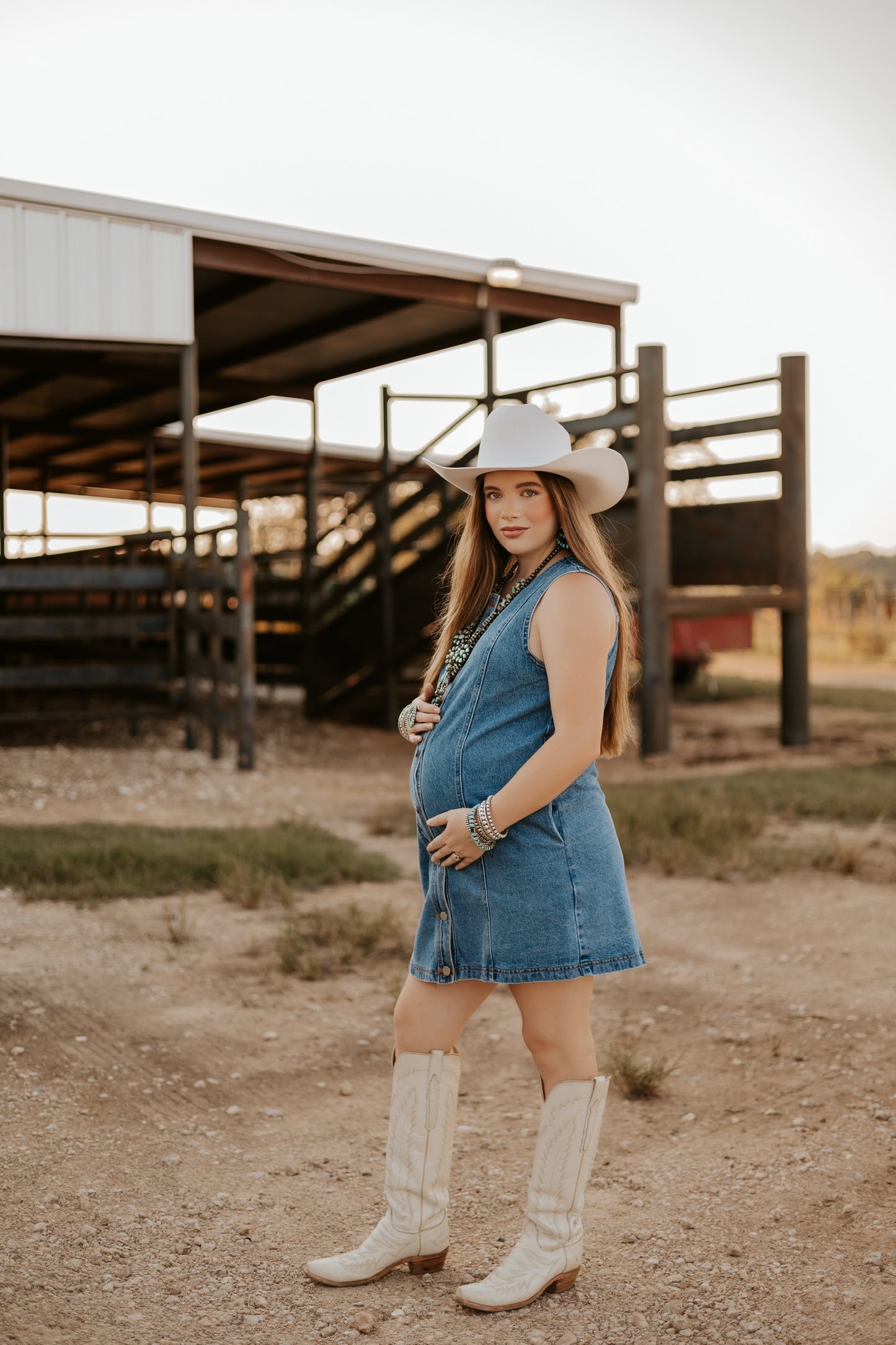 The Dobbs Denim Dress