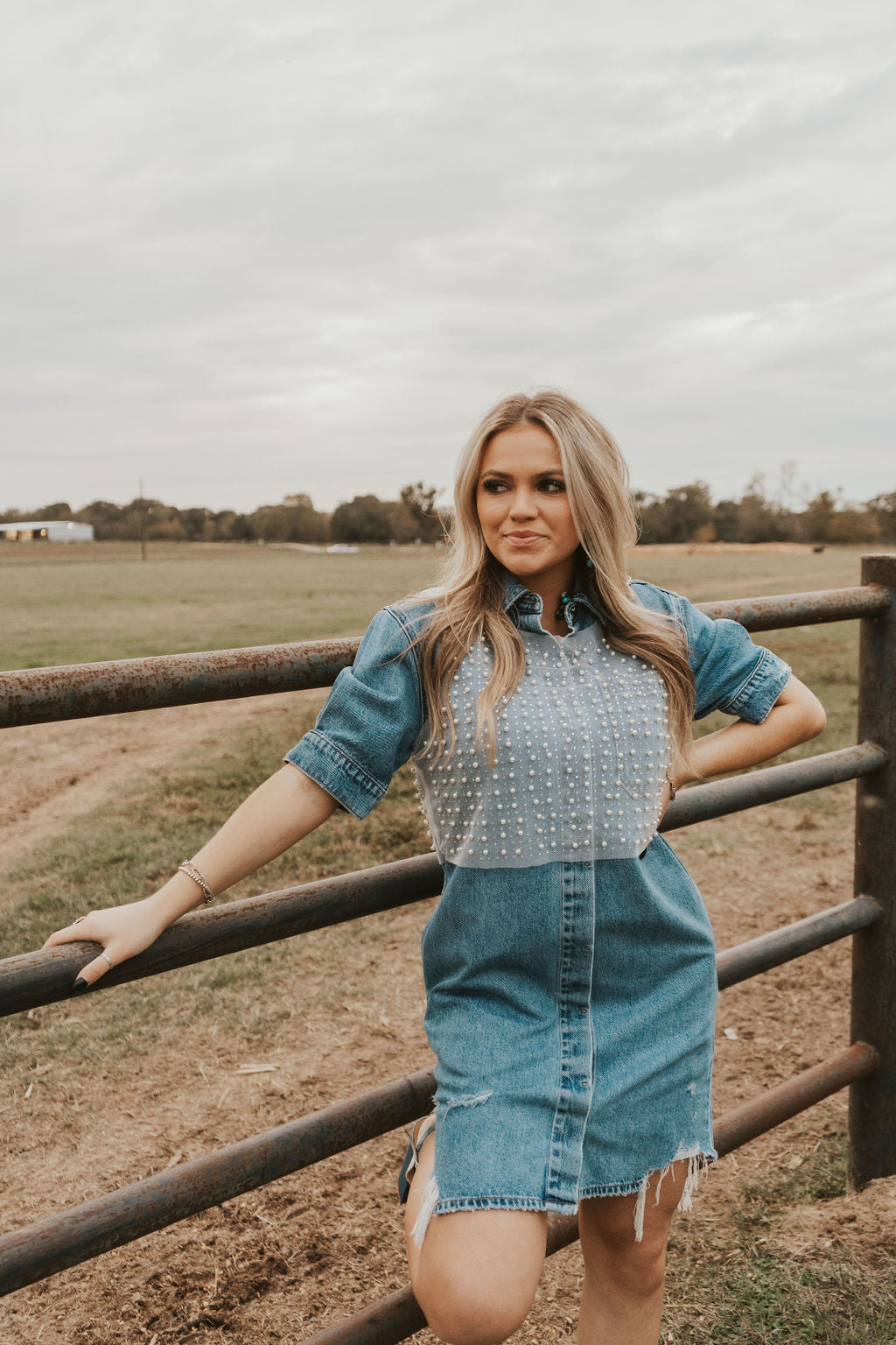 The Ariat Bakersfield Denim Dress