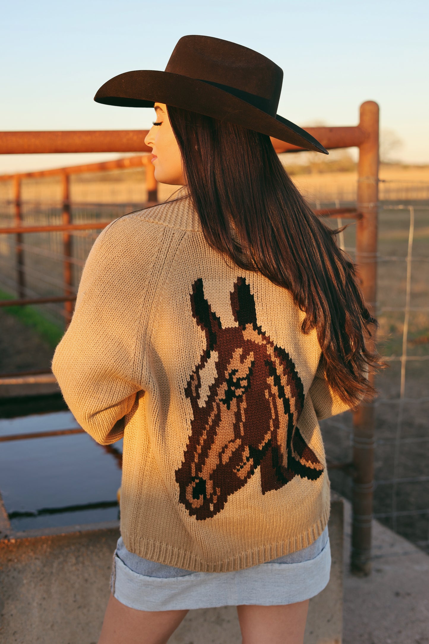 The Varsity Chunky Horse Cardigan