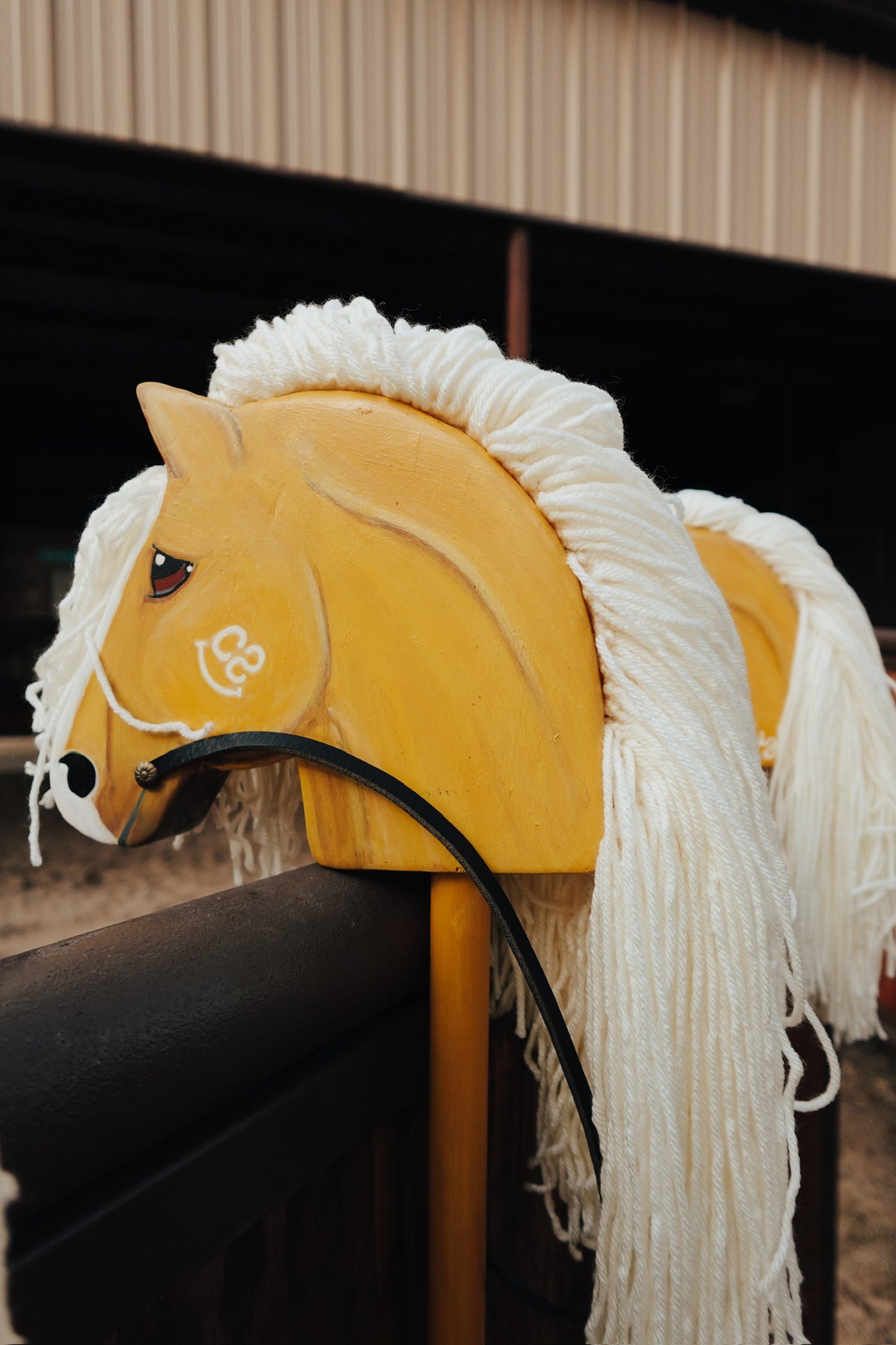 Palmer Ranch Ponies