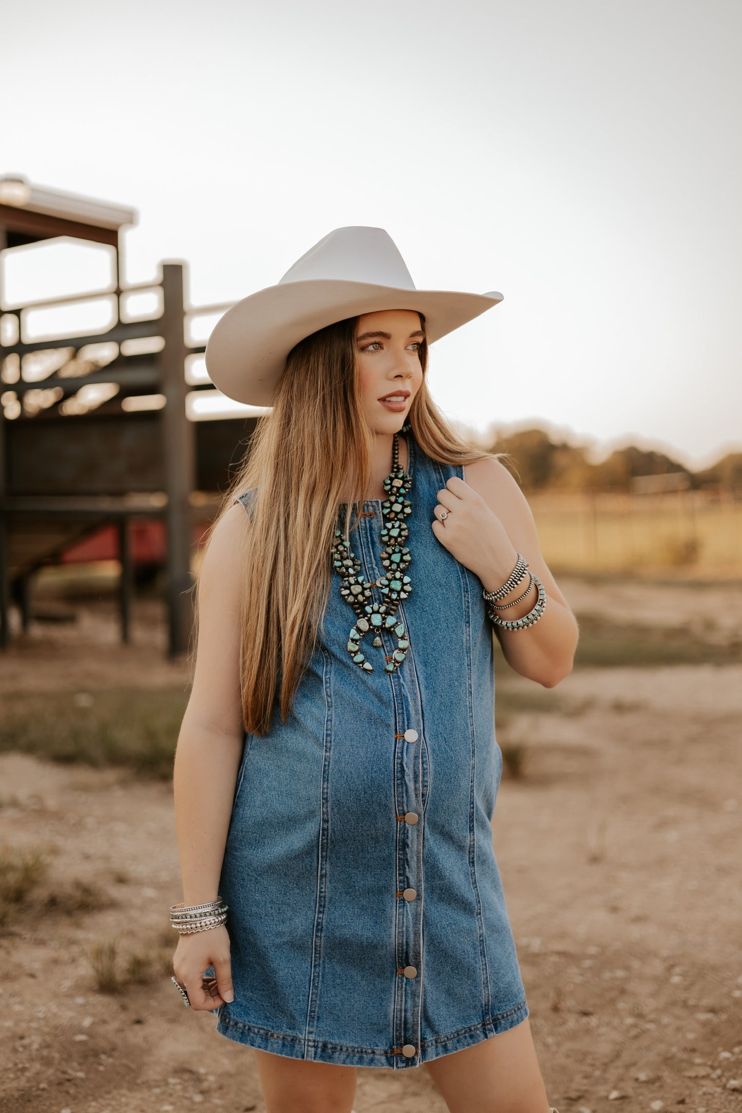 The Dobbs Denim Dress