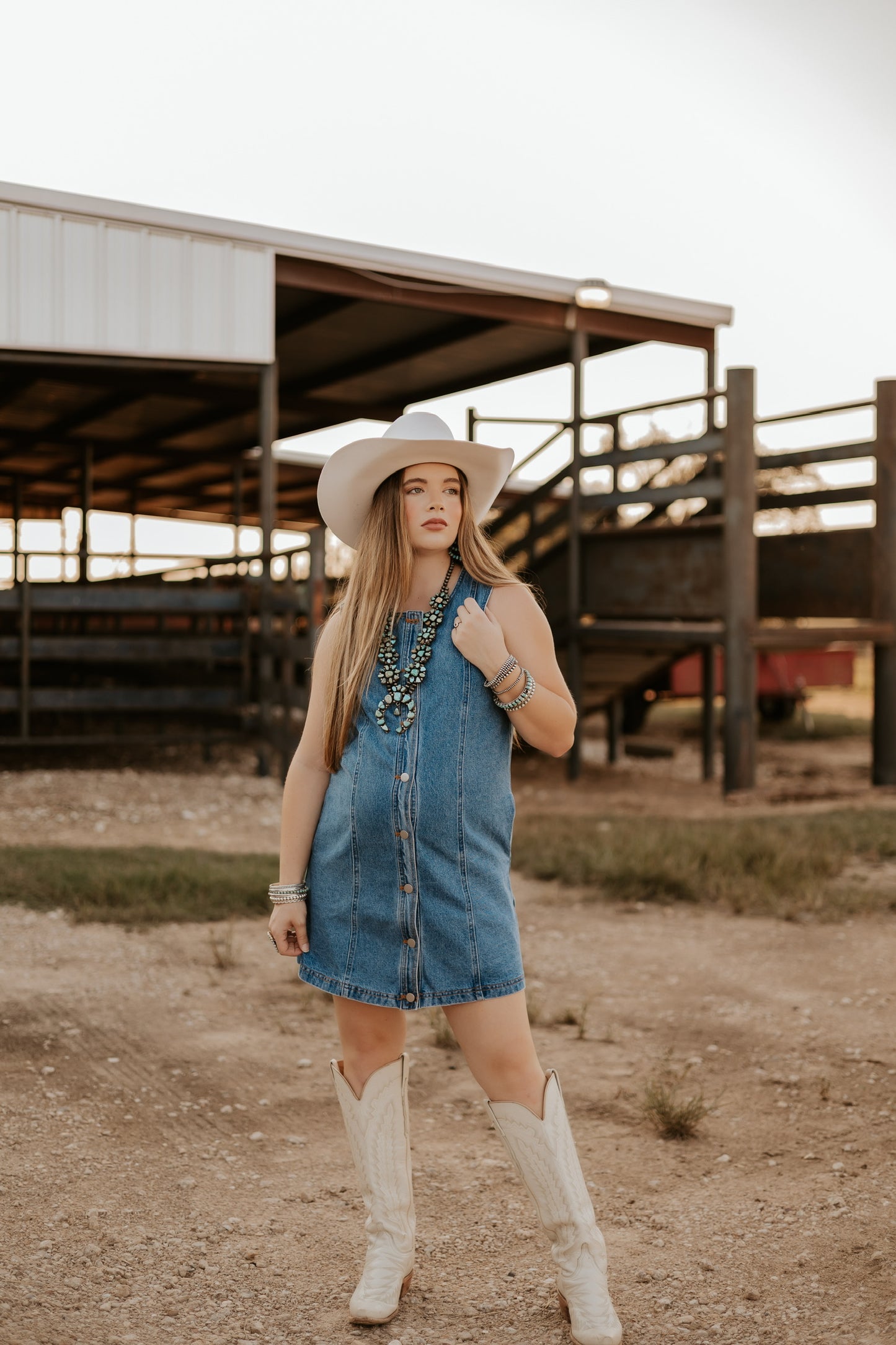 The Dobbs Denim Dress