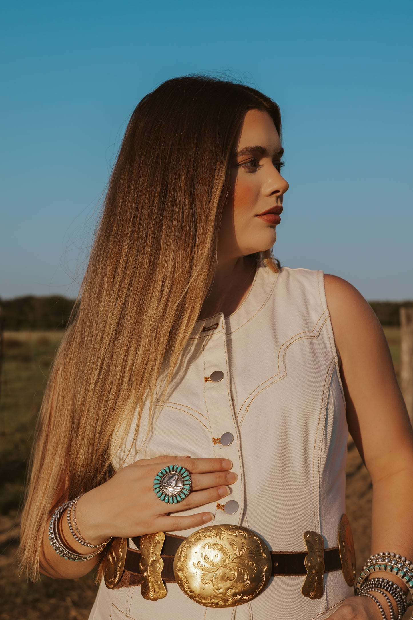 The Cordell Denim Dress
