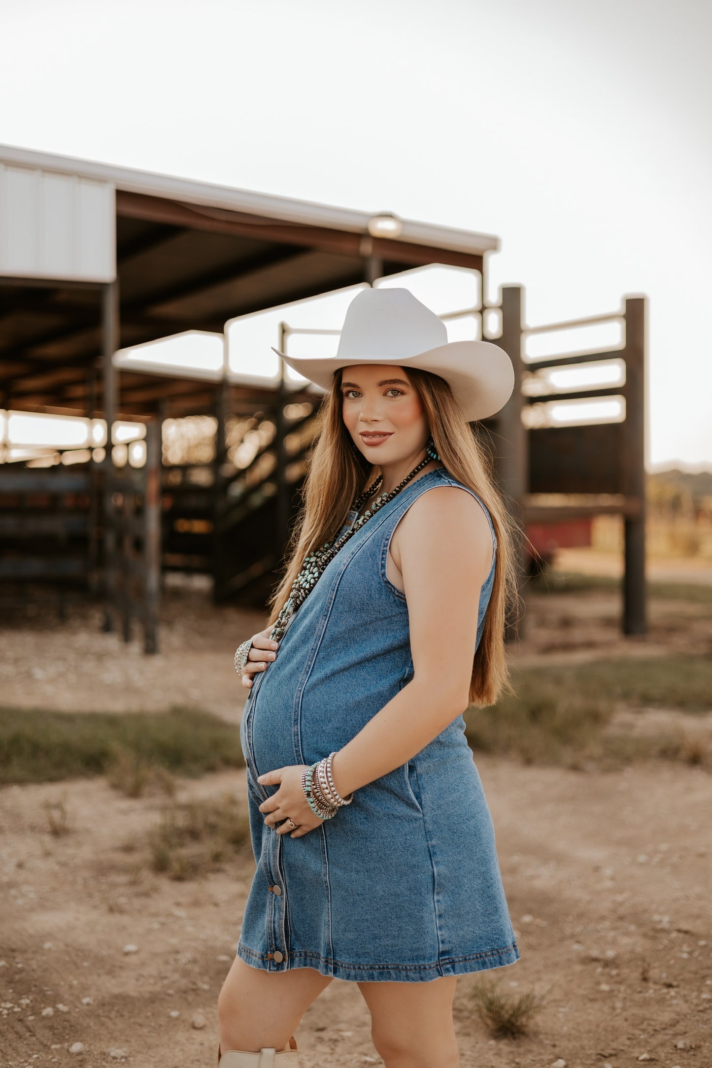 The Dobbs Denim Dress