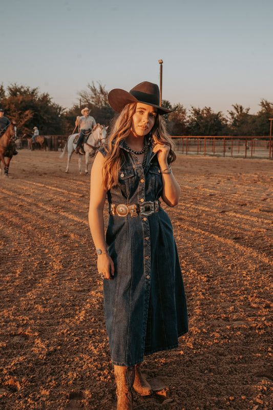 The Dylan Denim Dress