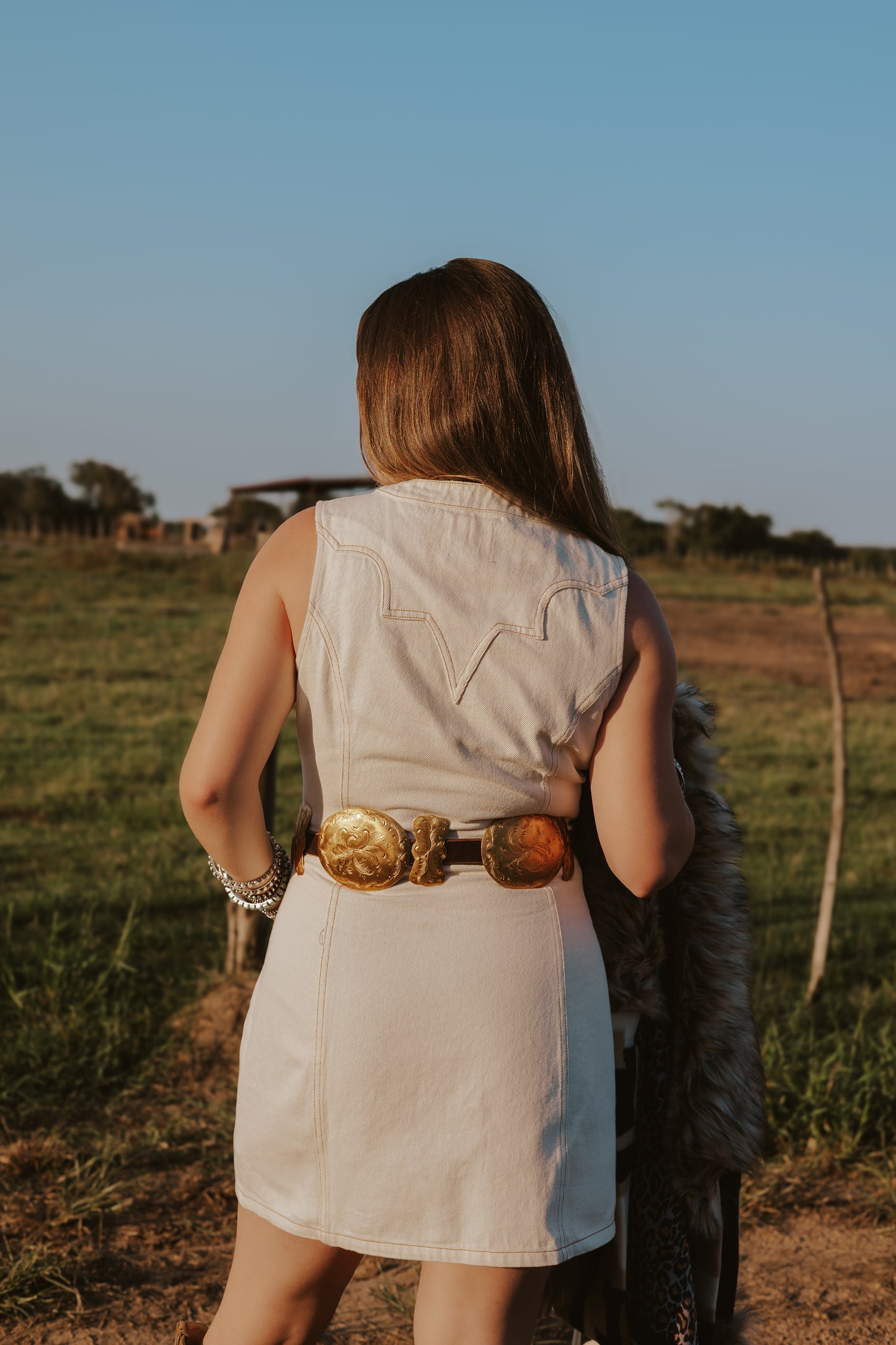The Cordell Denim Dress