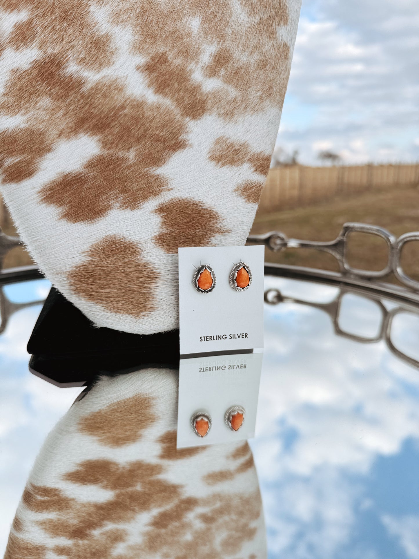 The Spiny Squash Set