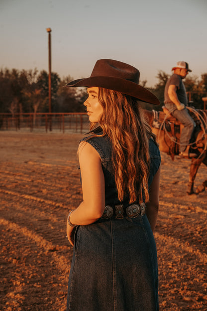 The Dylan Denim Dress