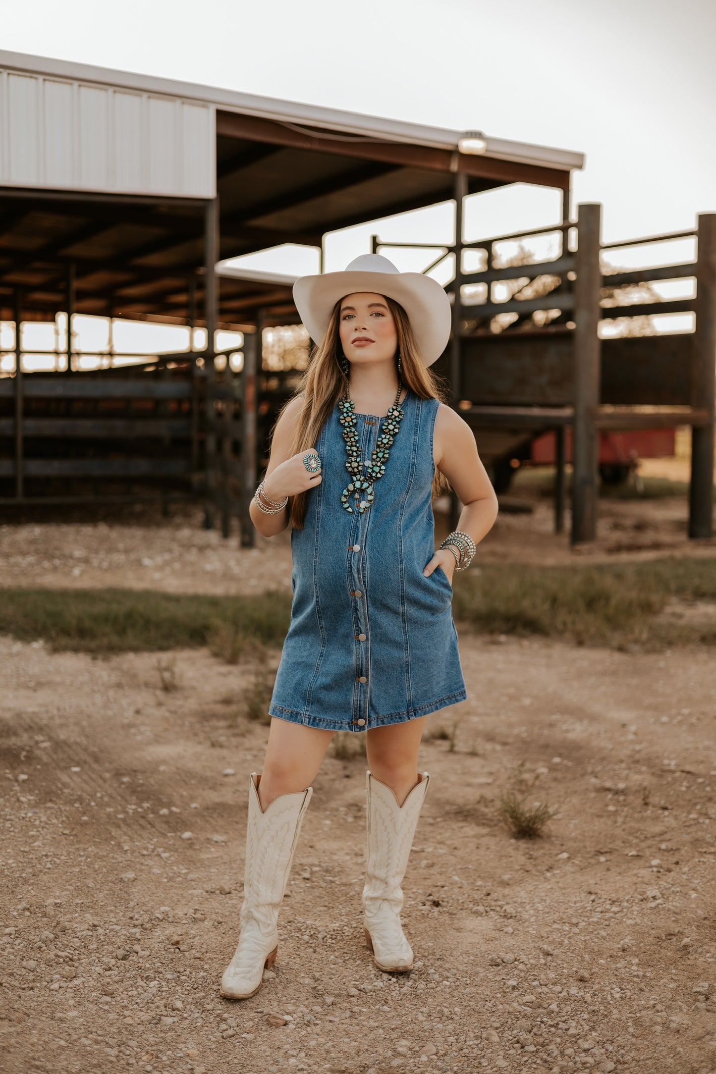 The Dobbs Denim Dress
