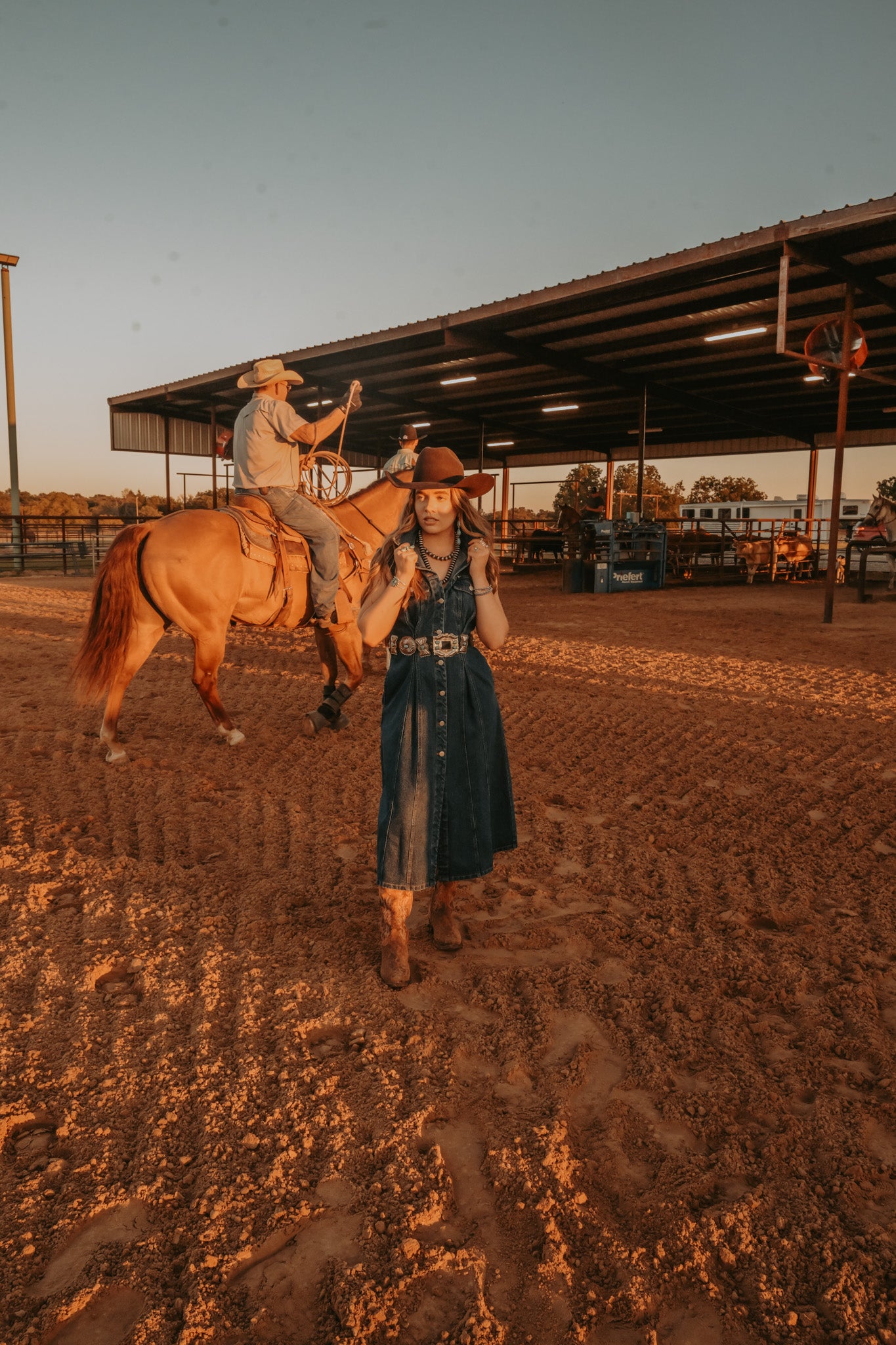 The Dylan Denim Dress