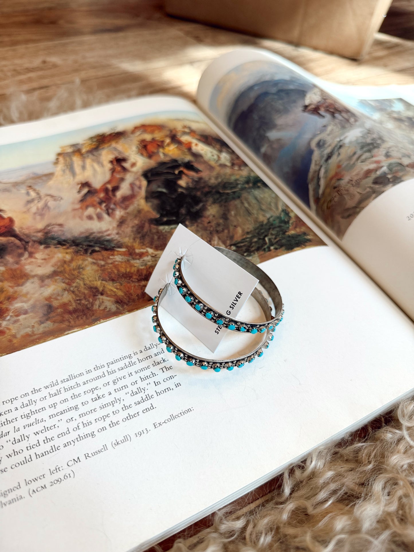 The Turquoise Hoops