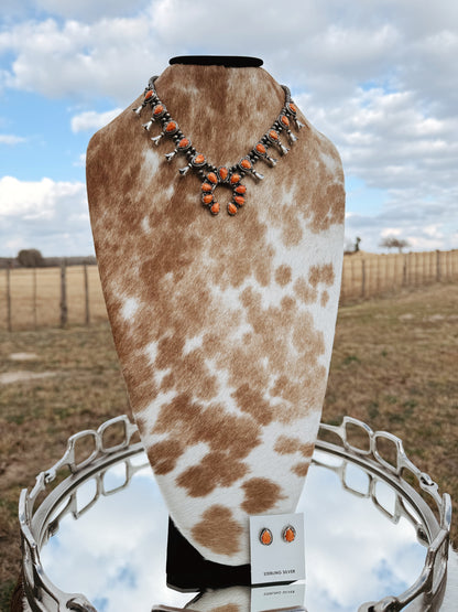 The Spiny Squash Set