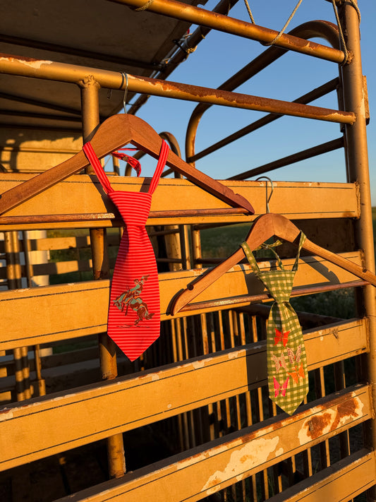The Striped Bronc Tie