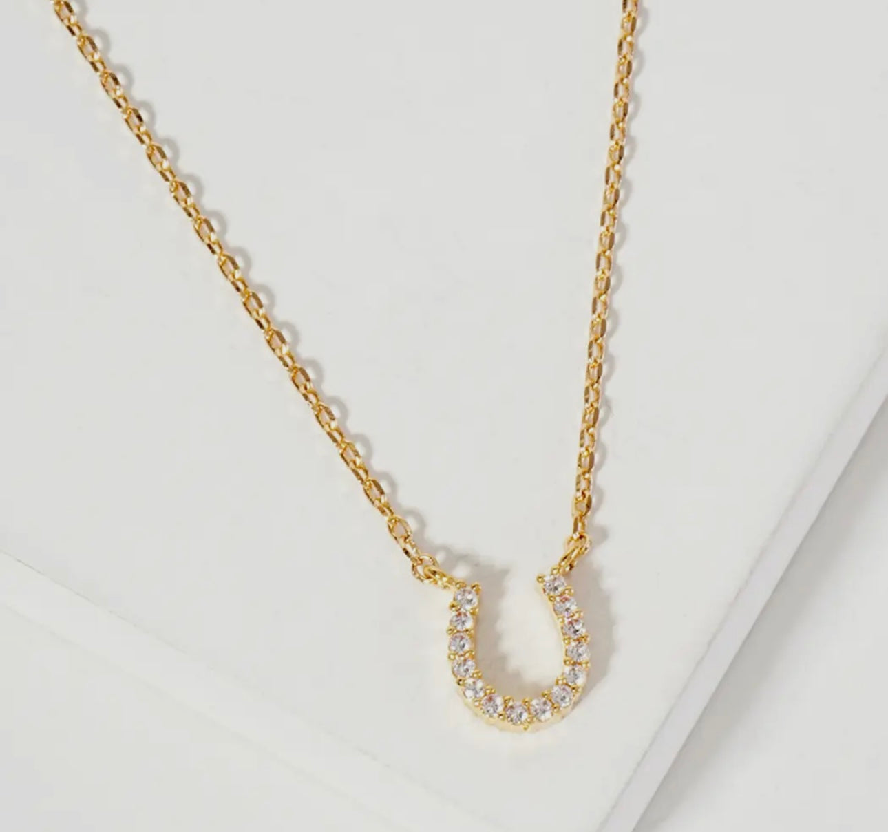 The Horseshoe Necklace