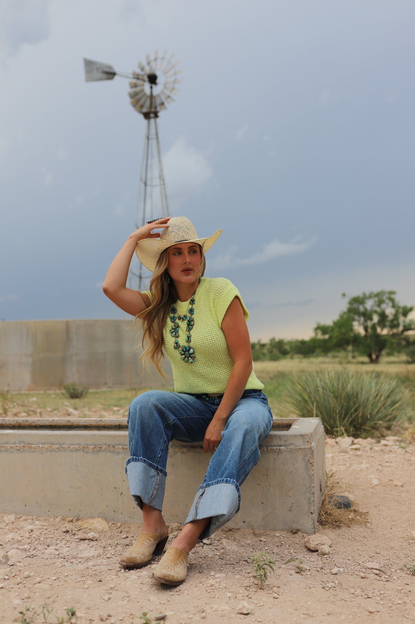 The Fiona Jeans in Dark Wash