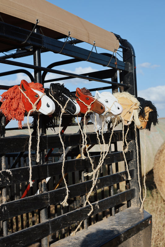 Palmer Ranch Ponies