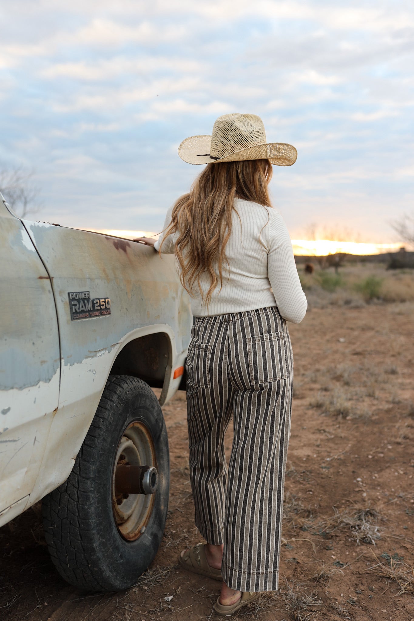 The Striped Denim Pants