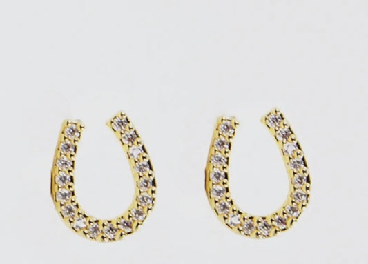 The Horseshoe Earrings