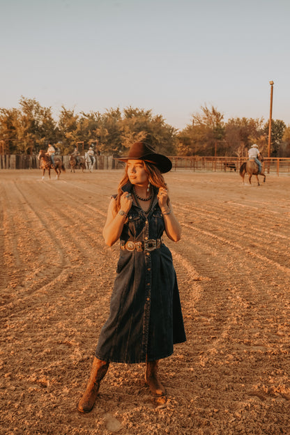 The Dylan Denim Dress