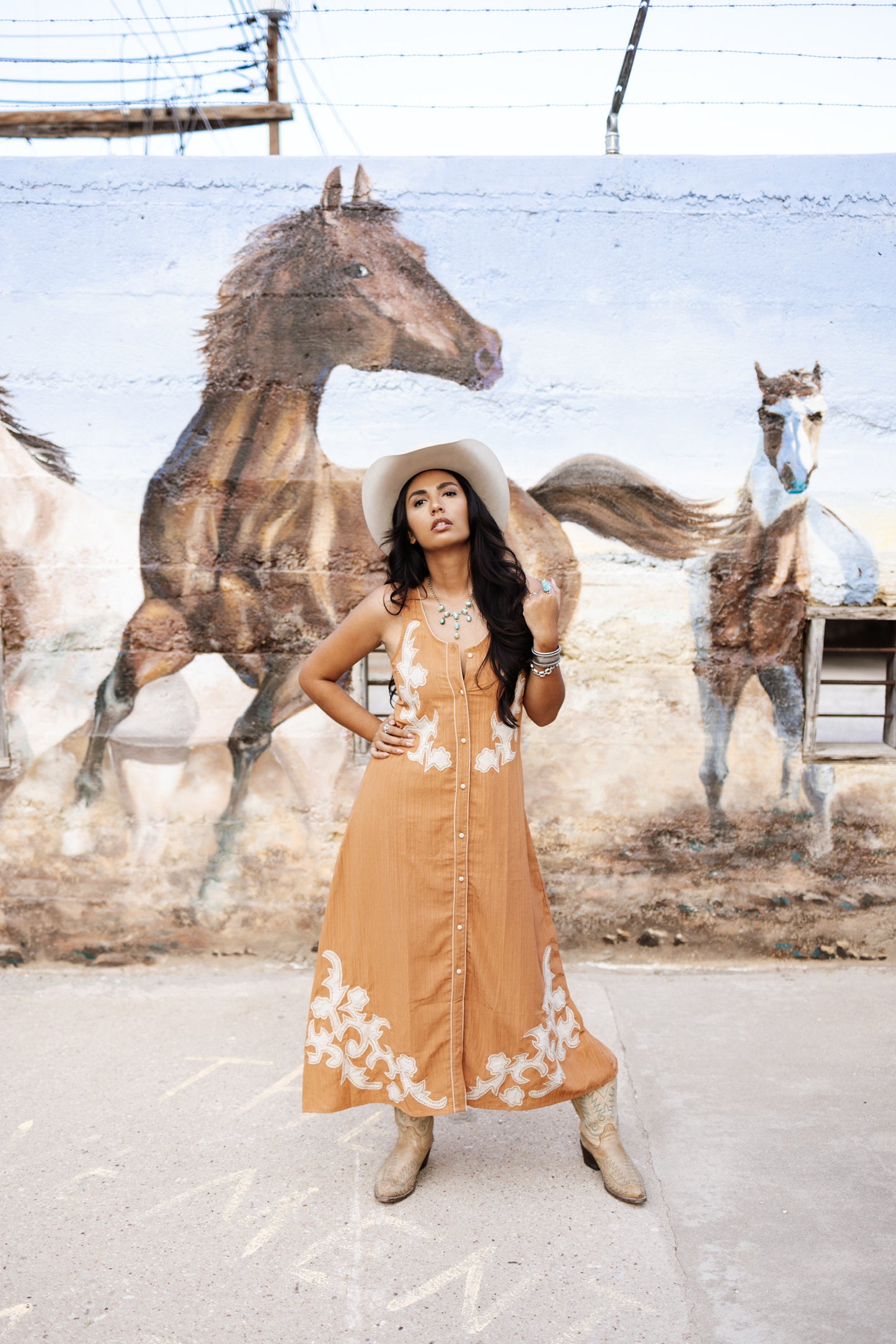 The Western Stitch Dress