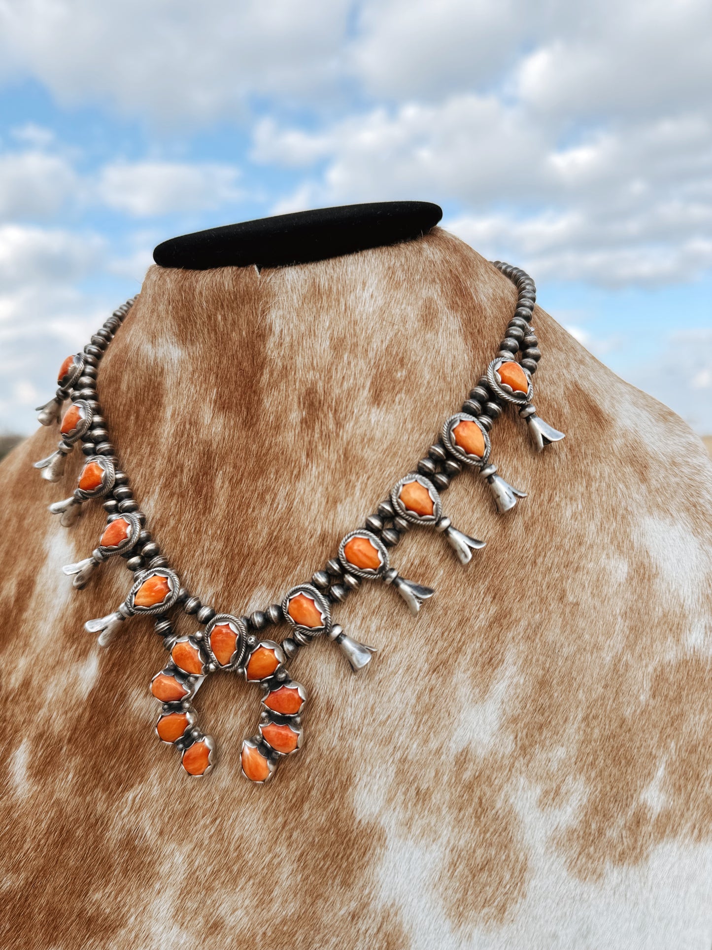 The Spiny Squash Set