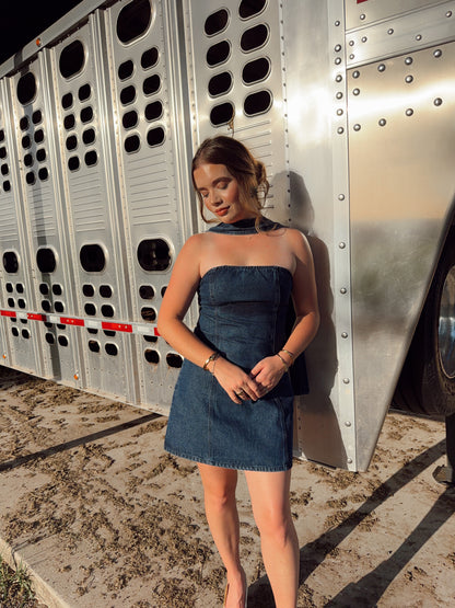 The Davie Denim Dress