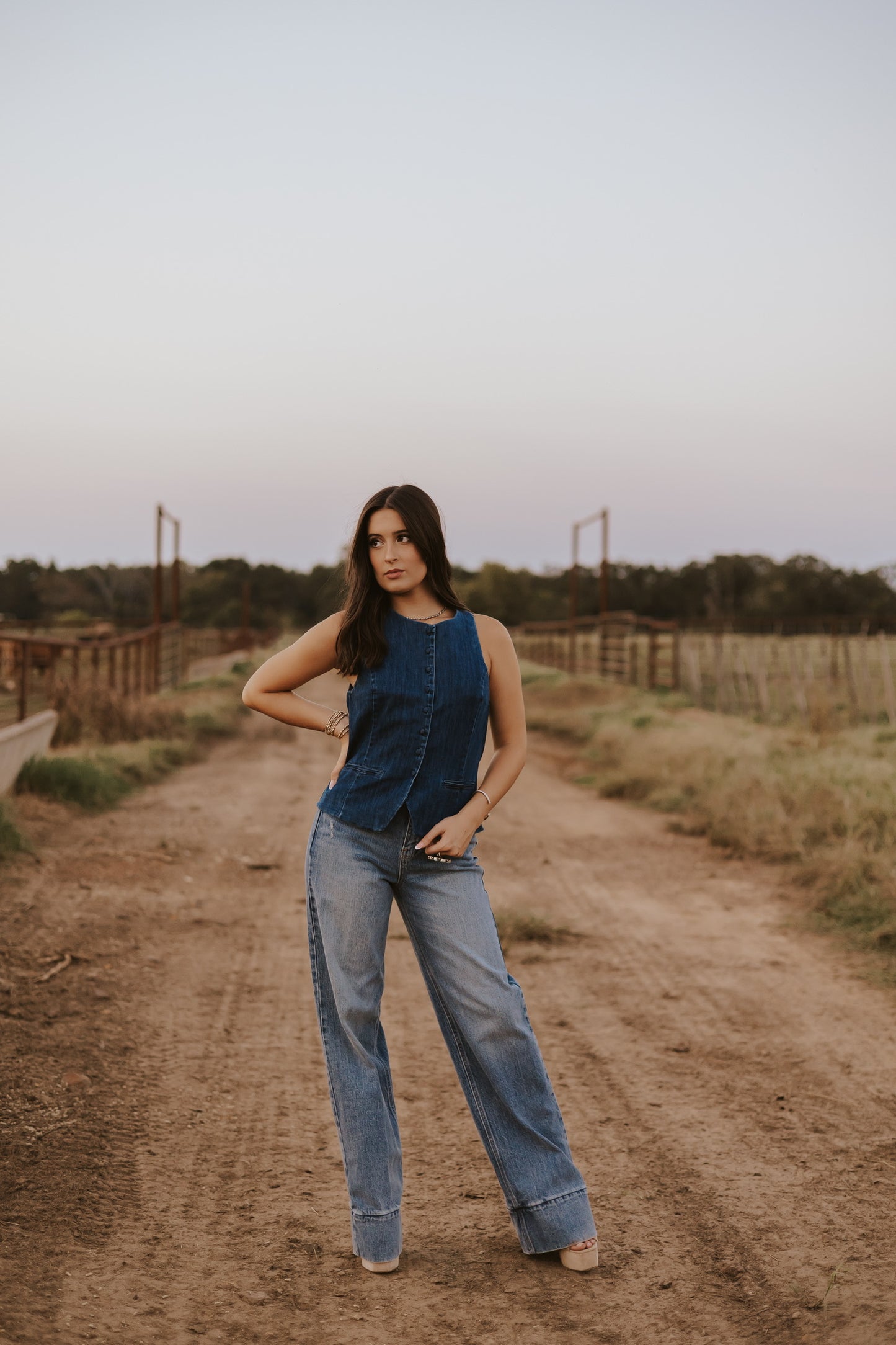 The Dax Denim Top