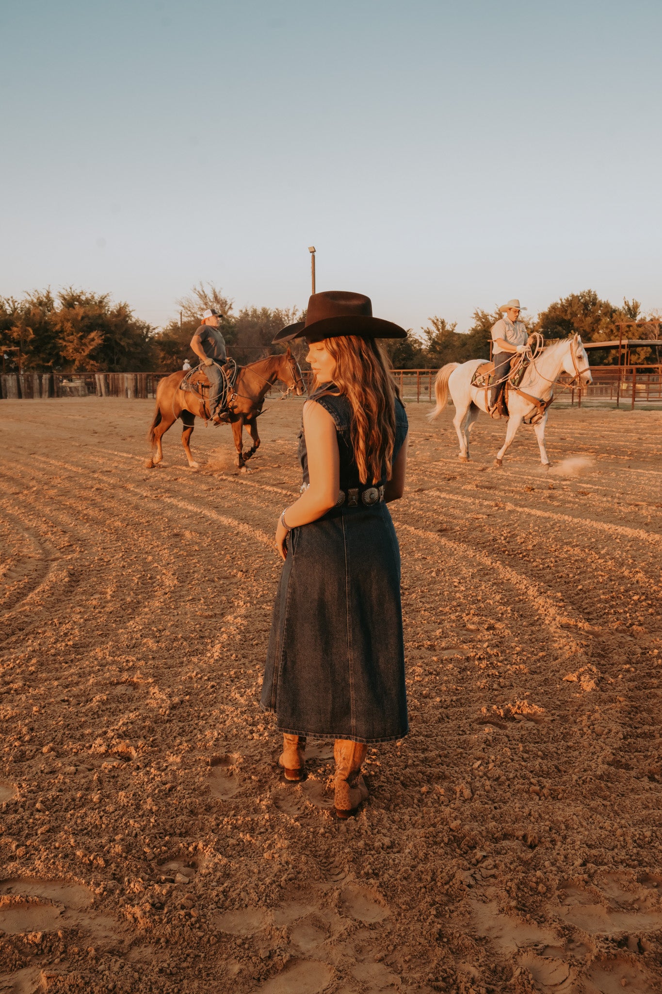 The Dylan Denim Dress