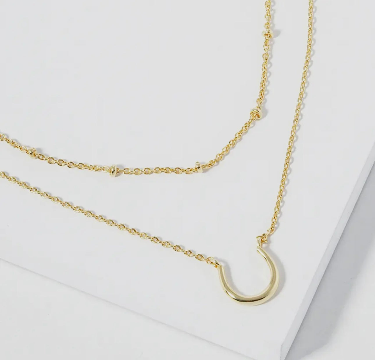 The Double Layer Horseshoe Necklace