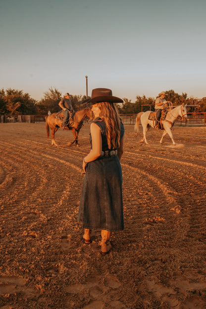 The Dylan Denim Dress