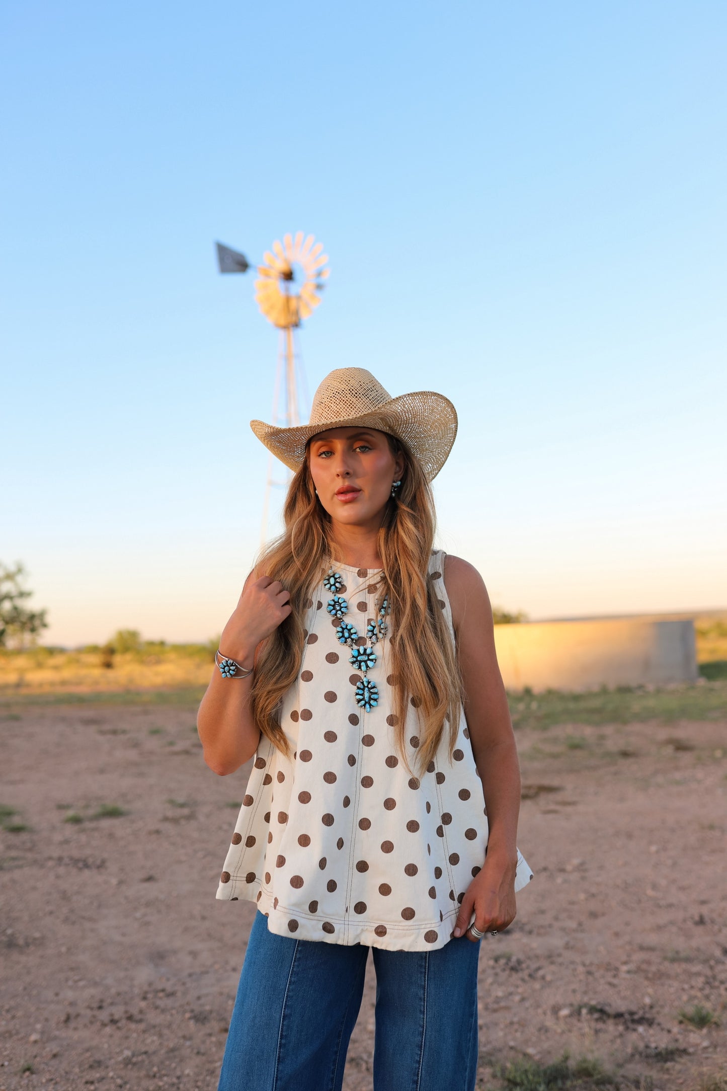 The Posie Polka Dot Denim Top