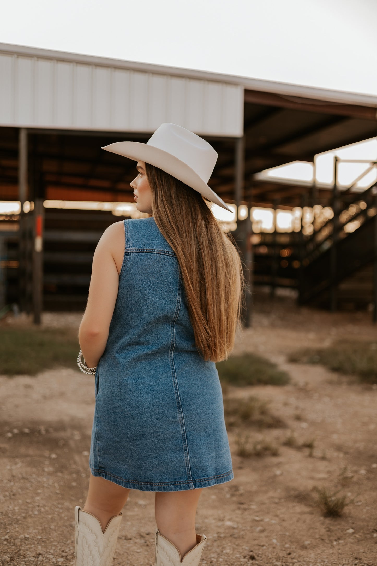 The Dobbs Denim Dress