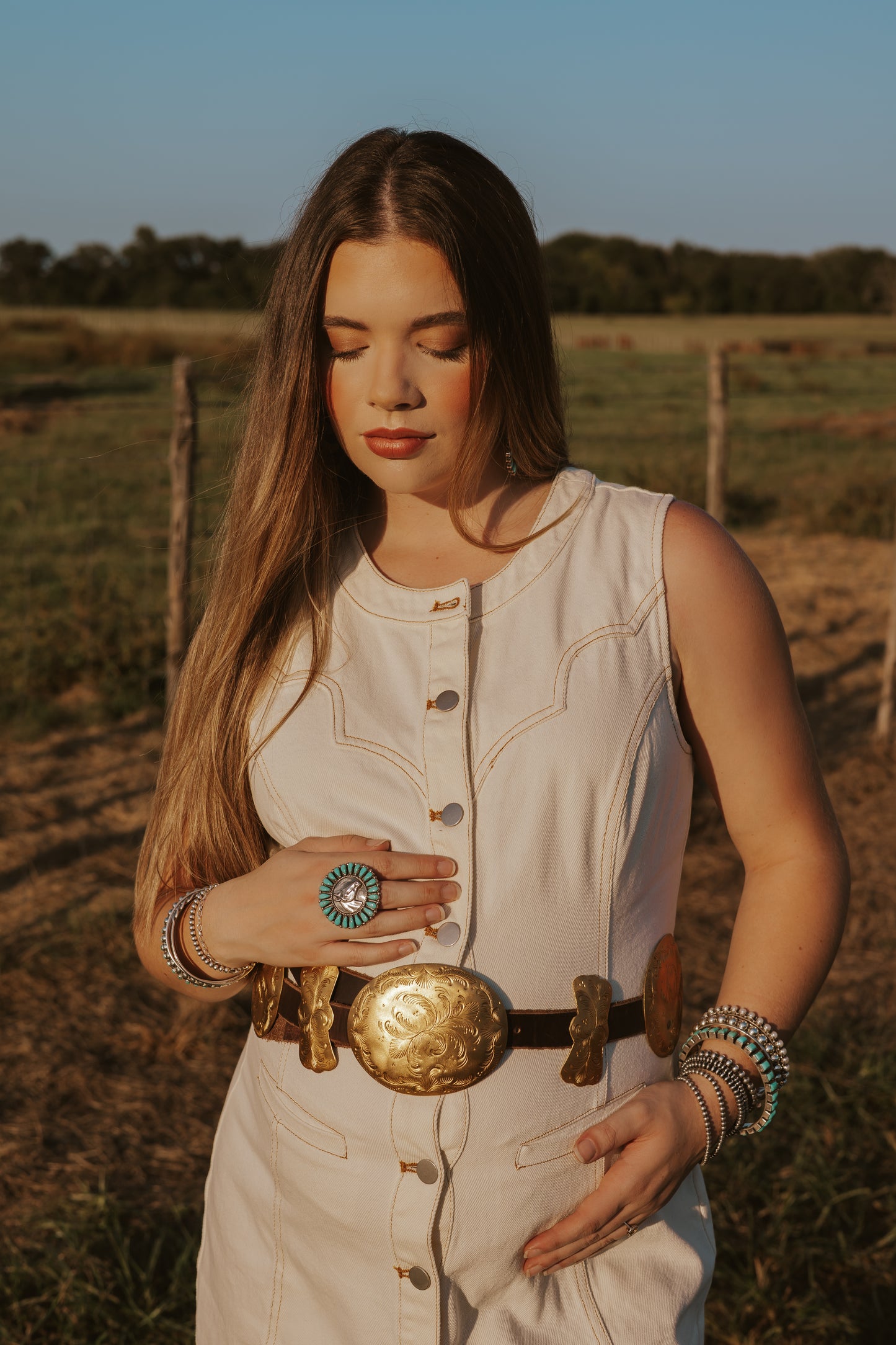 The Cordell Denim Dress