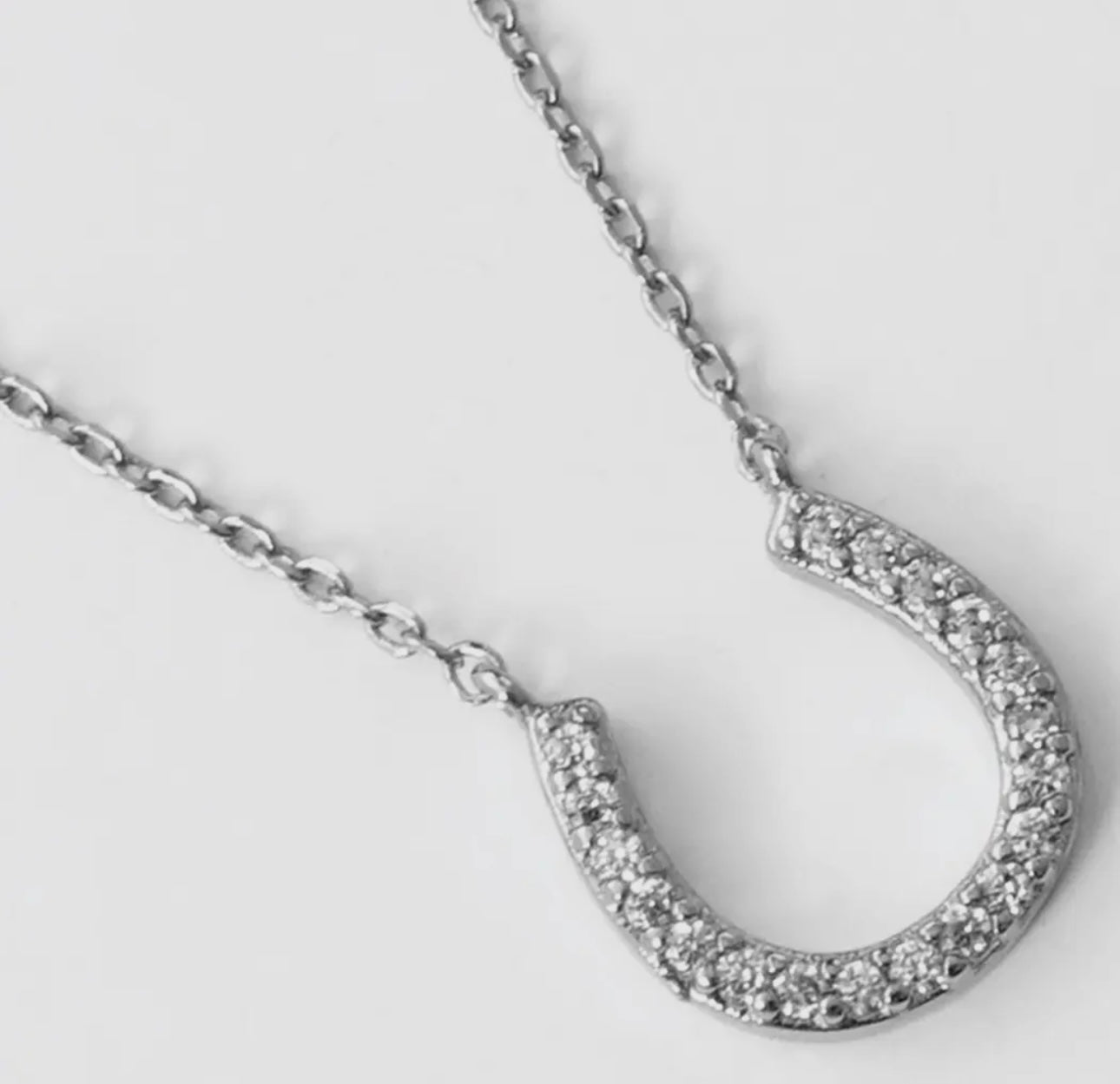 The Horseshoe Necklace